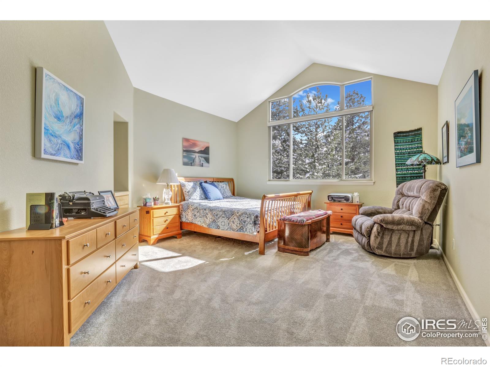 MLS Image #15 for 31120  cinnamonwood ,evergreen, Colorado