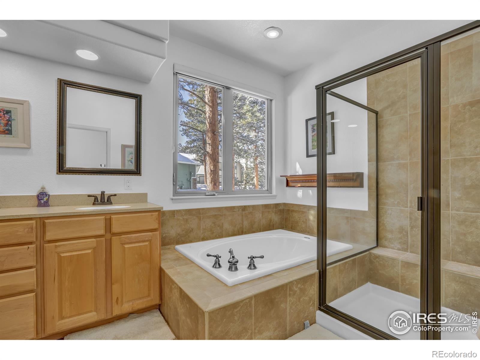 MLS Image #18 for 31120  cinnamonwood ,evergreen, Colorado