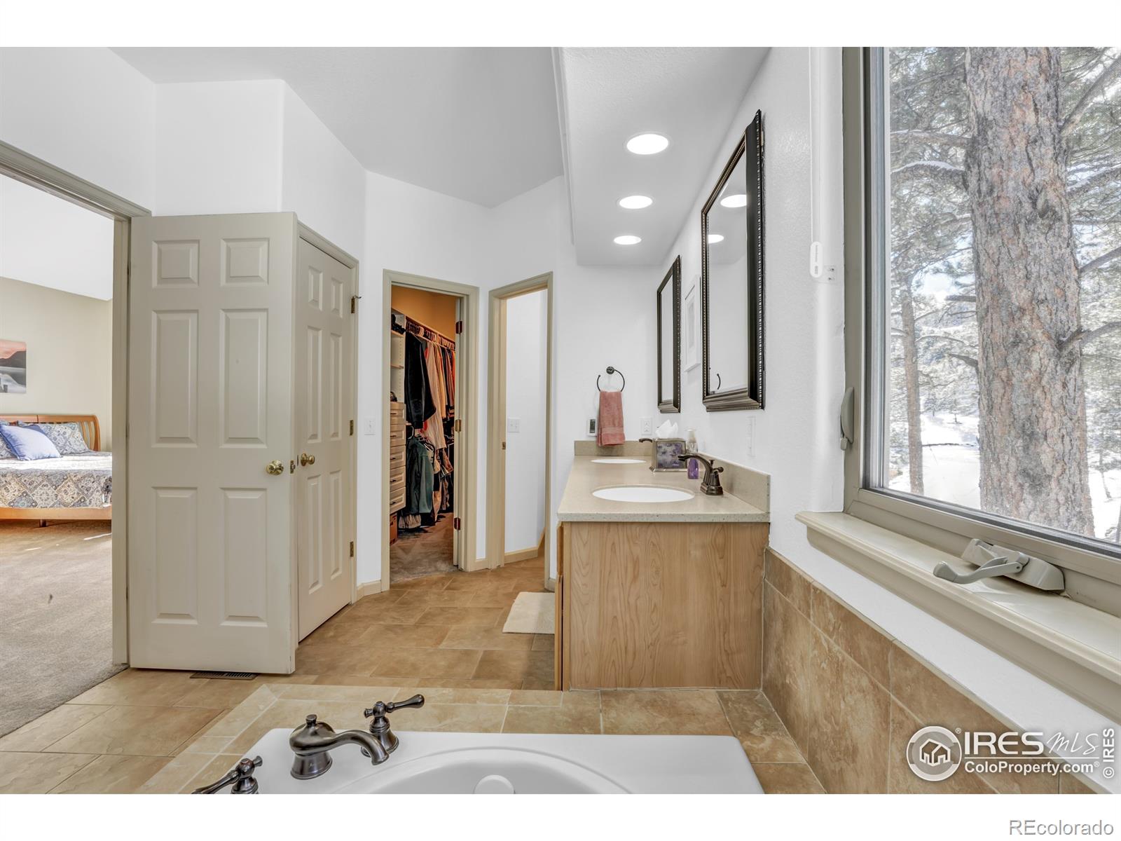 MLS Image #20 for 31120  cinnamonwood ,evergreen, Colorado