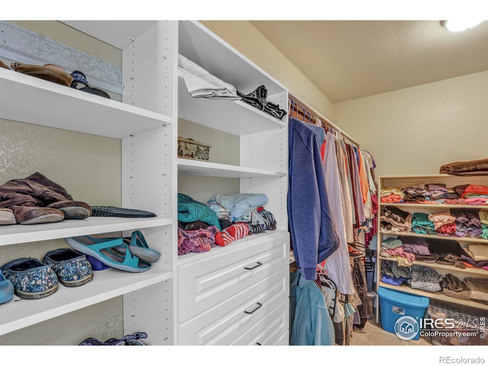 MLS Image #21 for 31120  cinnamonwood ,evergreen, Colorado