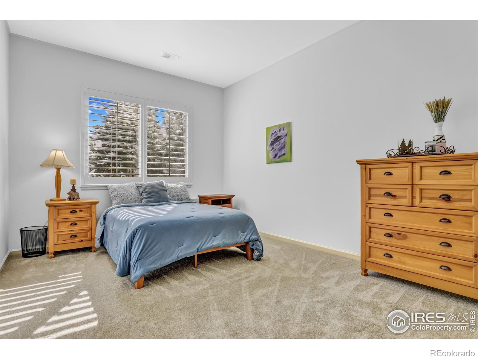 MLS Image #30 for 31120  cinnamonwood ,evergreen, Colorado