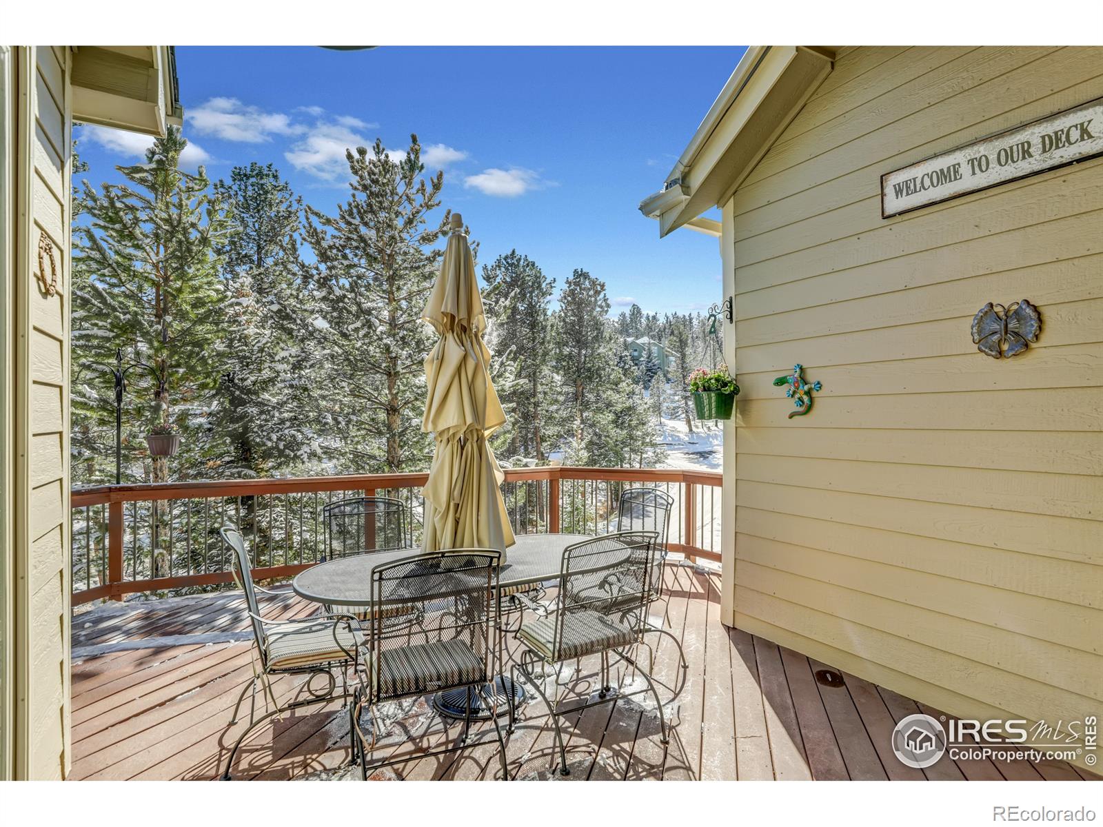 MLS Image #36 for 31120  cinnamonwood ,evergreen, Colorado