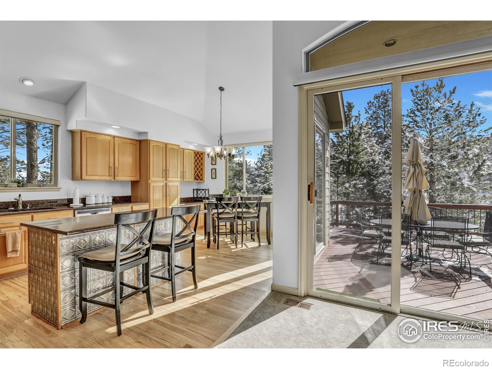 MLS Image #6 for 31120  cinnamonwood ,evergreen, Colorado