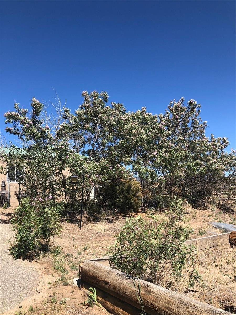 MLS Image #11 for 13999  county road 162 ,nathrop, Colorado