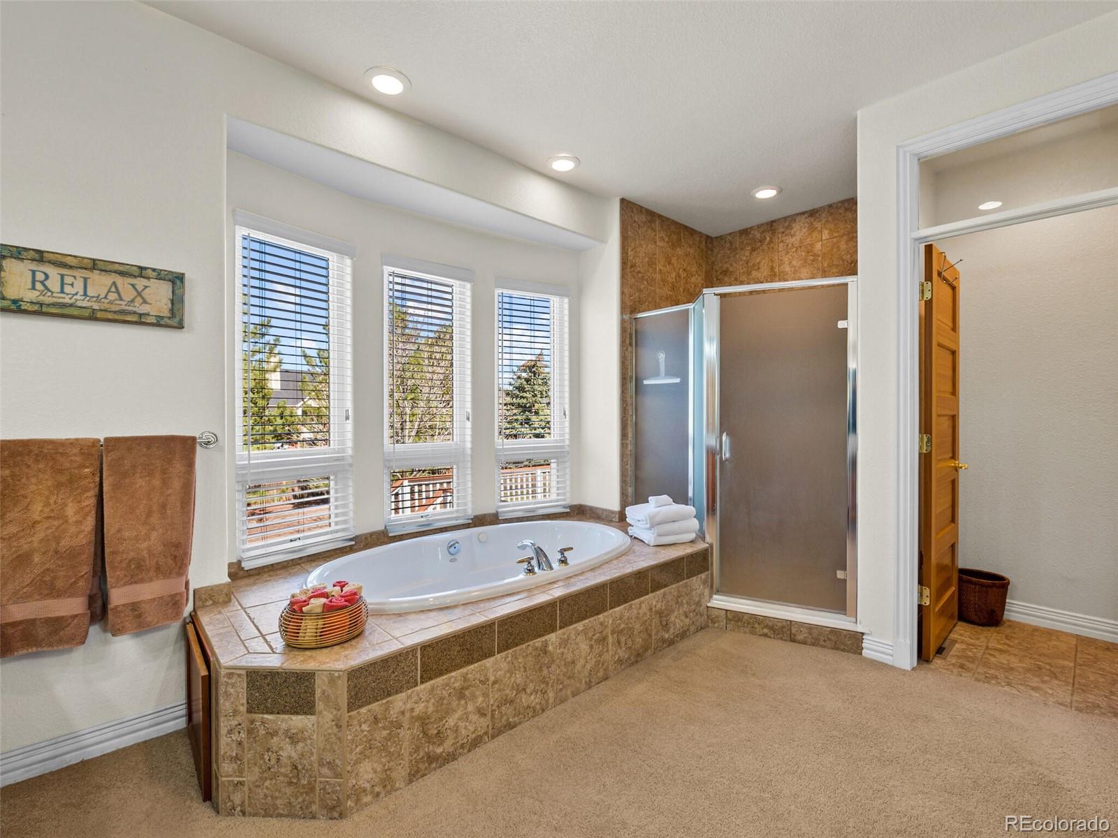 MLS Image #18 for 14569 e navarro place,aurora, Colorado
