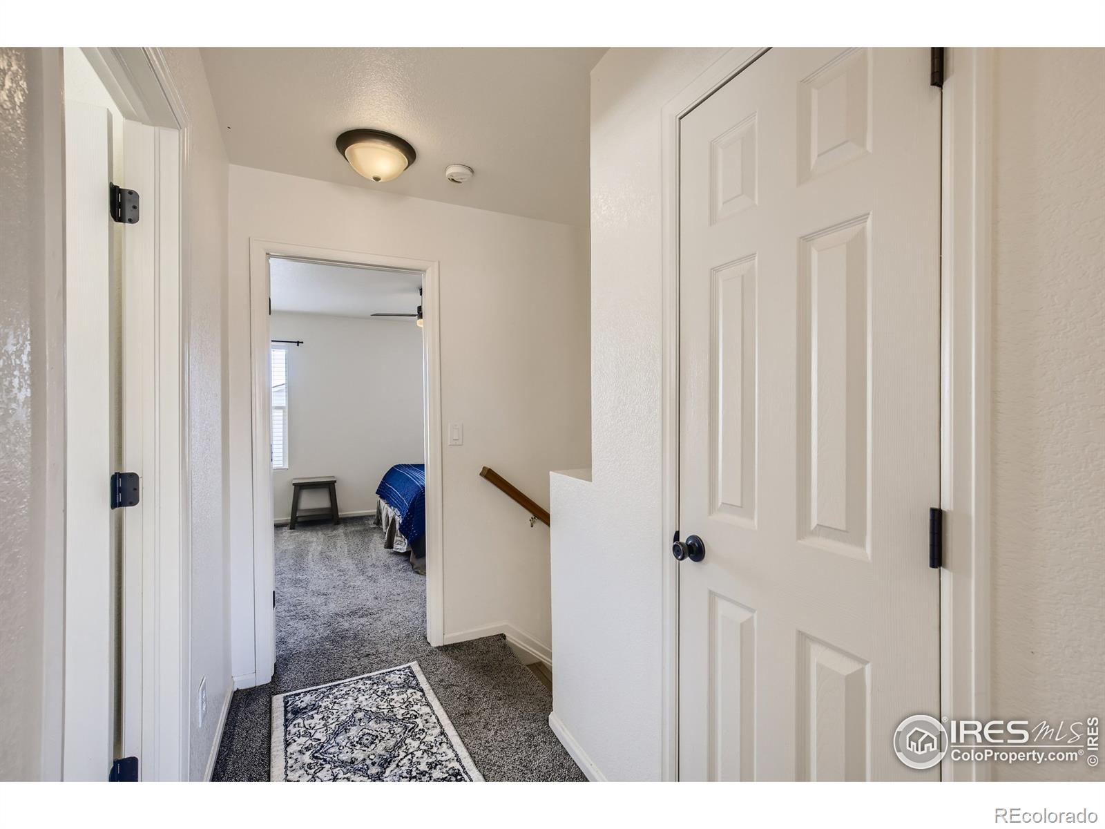 MLS Image #17 for 1220  spring creek court,longmont, Colorado