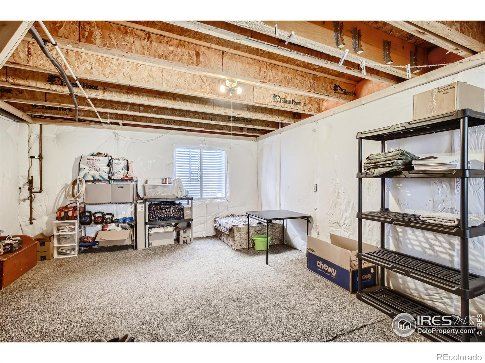 MLS Image #21 for 1220  spring creek court,longmont, Colorado