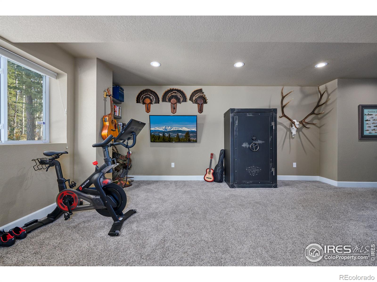 MLS Image #20 for 459  aspen lane,black hawk, Colorado