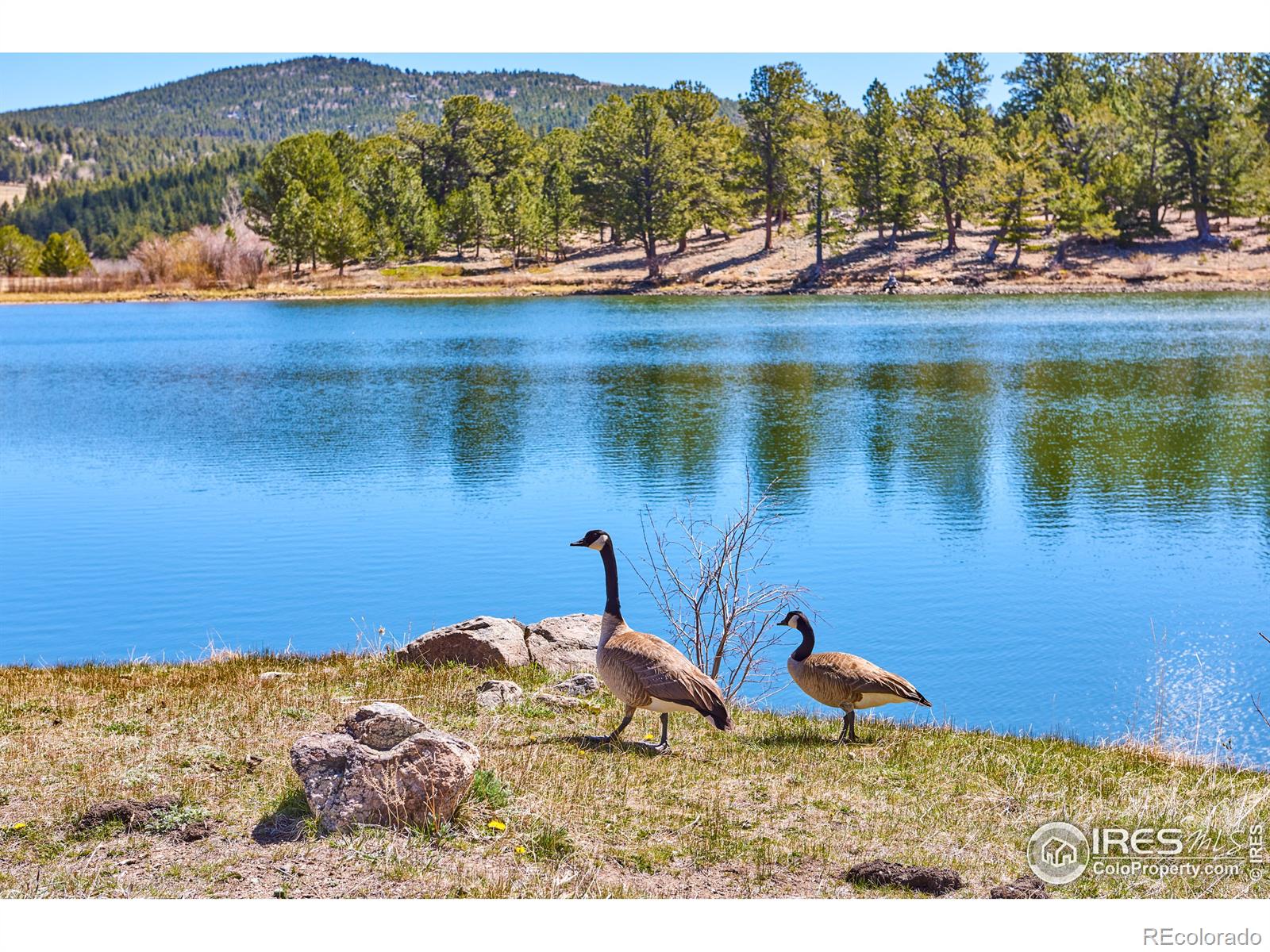MLS Image #31 for 459  aspen lane,black hawk, Colorado