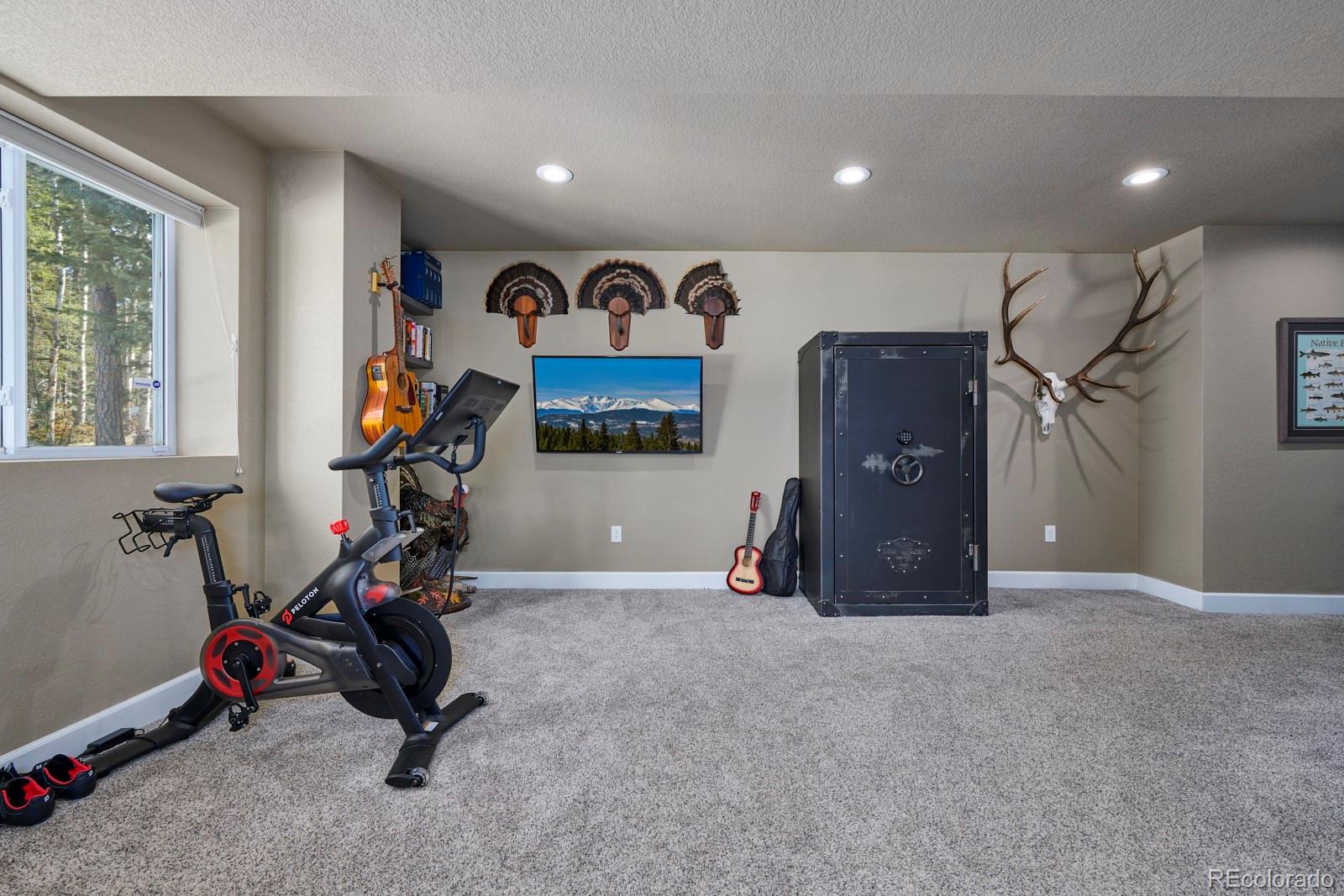 MLS Image #18 for 459  aspen lane,black hawk, Colorado