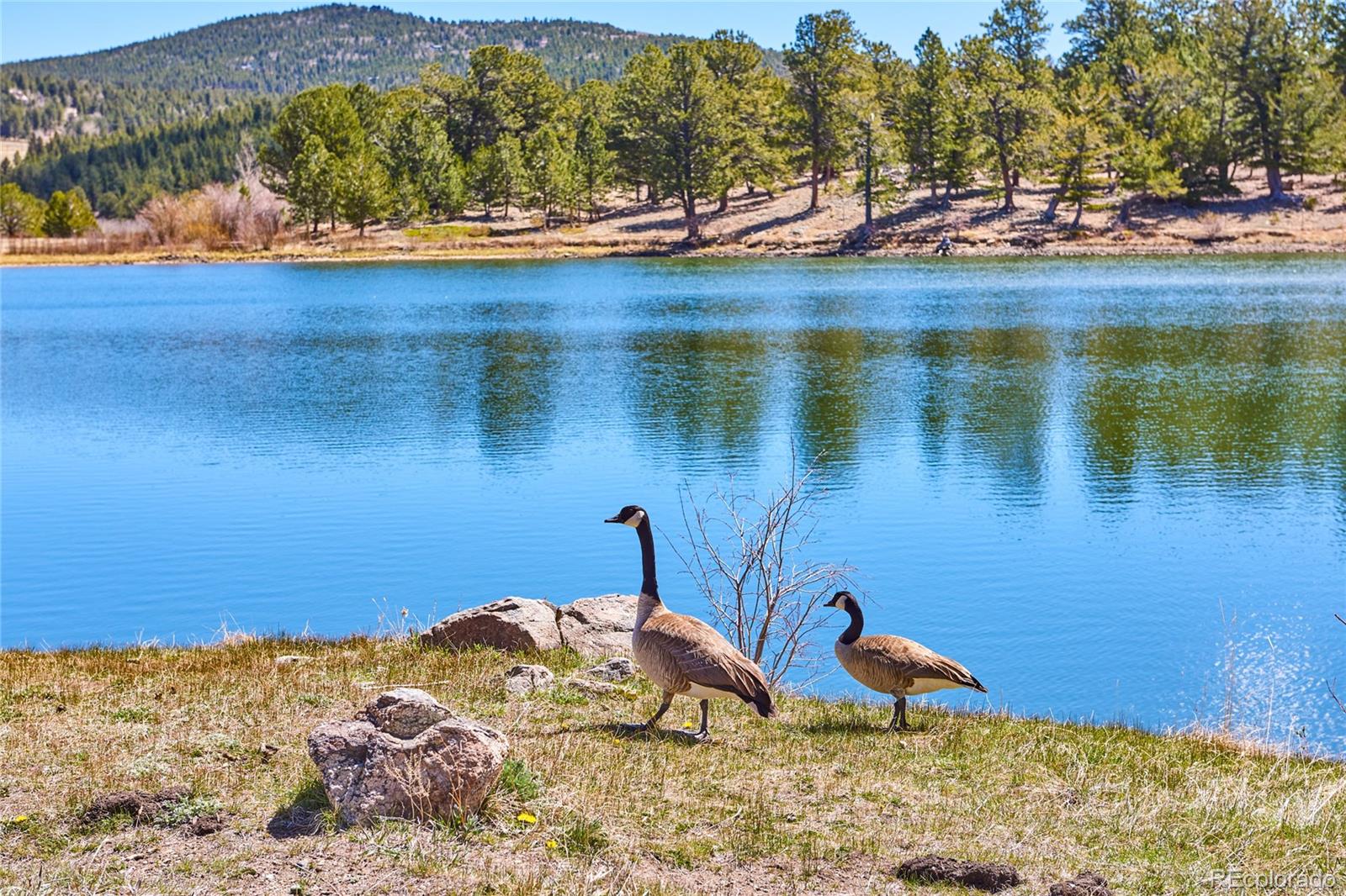 MLS Image #30 for 459  aspen lane,black hawk, Colorado