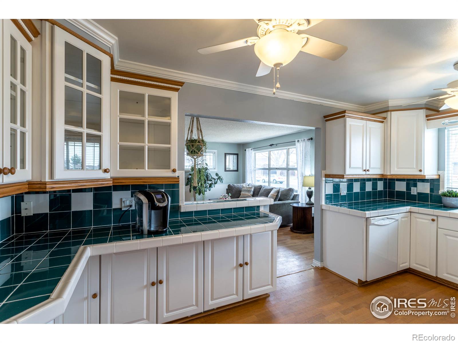 MLS Image #7 for 7079  masey street,denver, Colorado