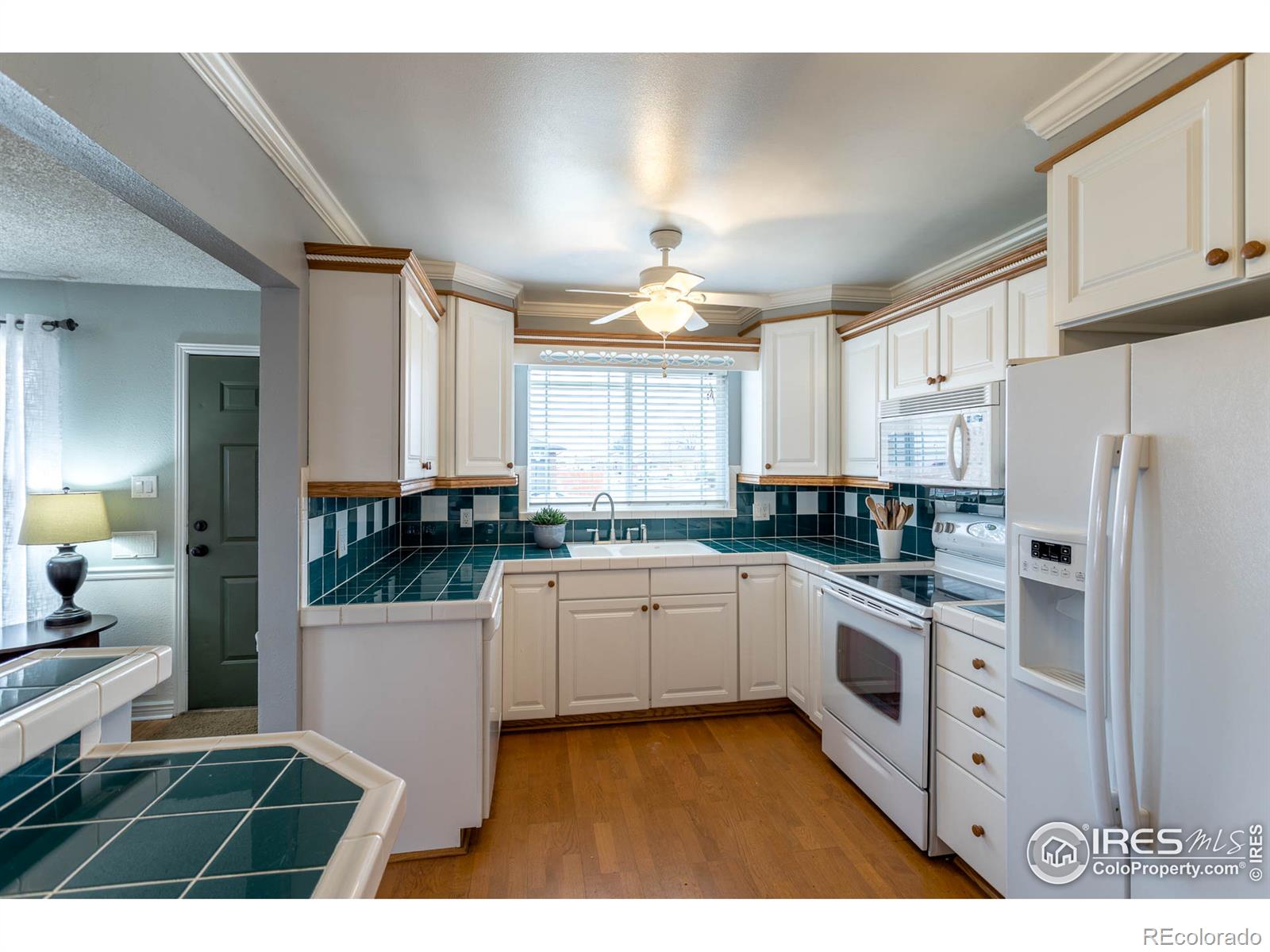 MLS Image #8 for 7079  masey street,denver, Colorado