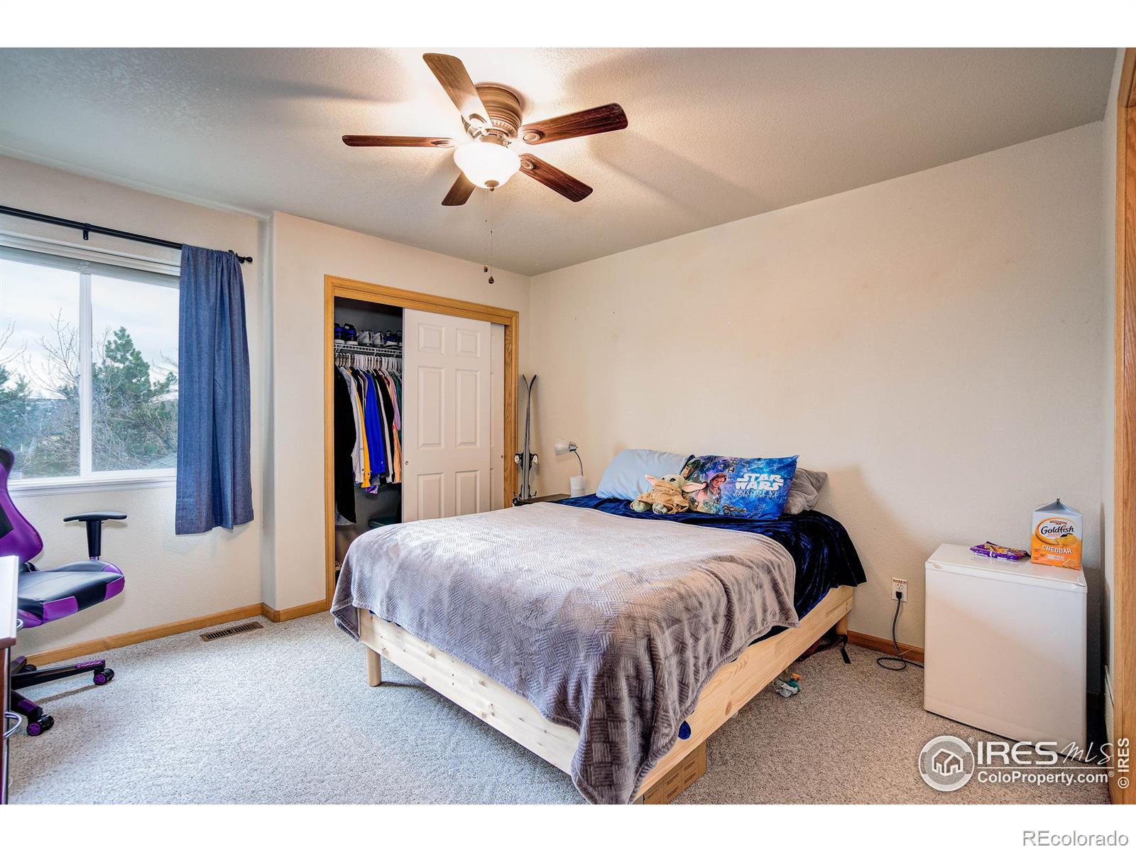 MLS Image #15 for 1061  tierra lane,fort collins, Colorado
