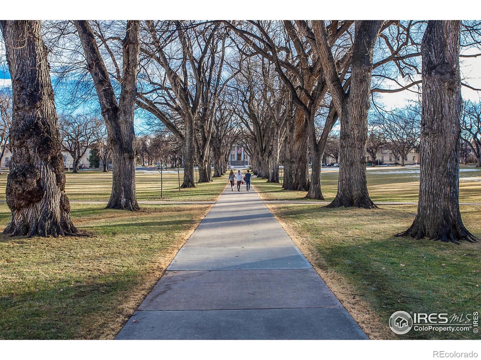 MLS Image #29 for 1061  tierra lane,fort collins, Colorado