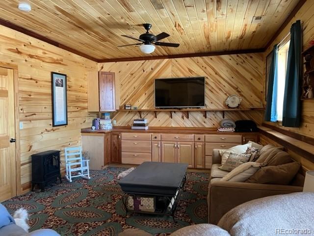 MLS Image #17 for 1086  county  112 road,florissant, Colorado