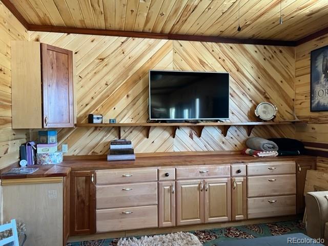 MLS Image #18 for 1086  county  112 road,florissant, Colorado