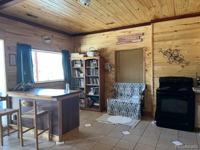 MLS Image #20 for 1086  county  112 road,florissant, Colorado