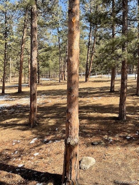 MLS Image #26 for 1086  county  112 road,florissant, Colorado