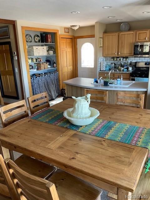 MLS Image #8 for 1086  county  112 road,florissant, Colorado