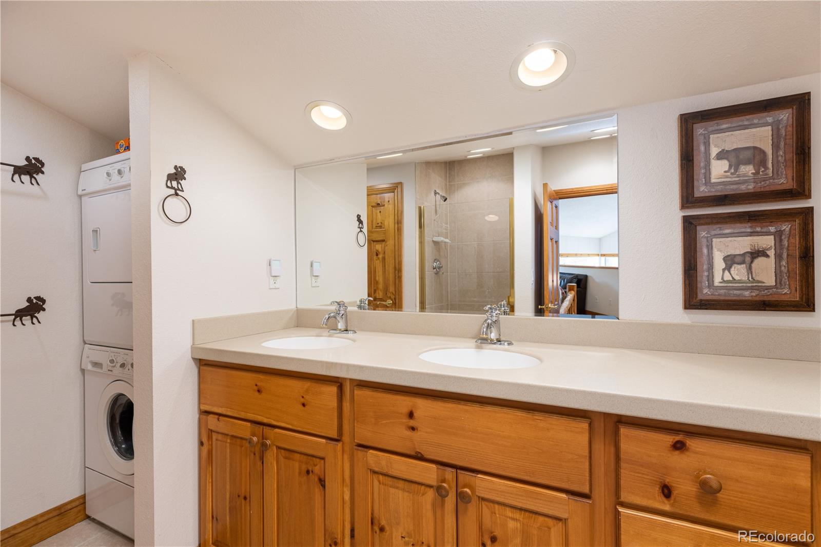 MLS Image #11 for 765  columbine drive,breckenridge, Colorado