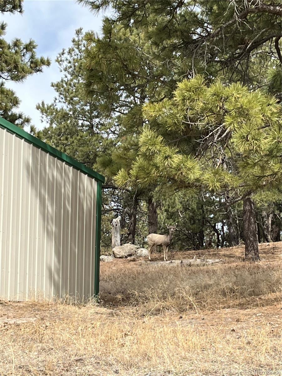 MLS Image #19 for 15720  hopper road,peyton, Colorado