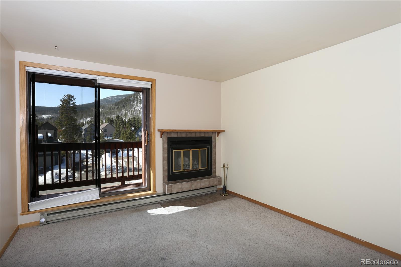 MLS Image #7 for 99  granite street,frisco, Colorado