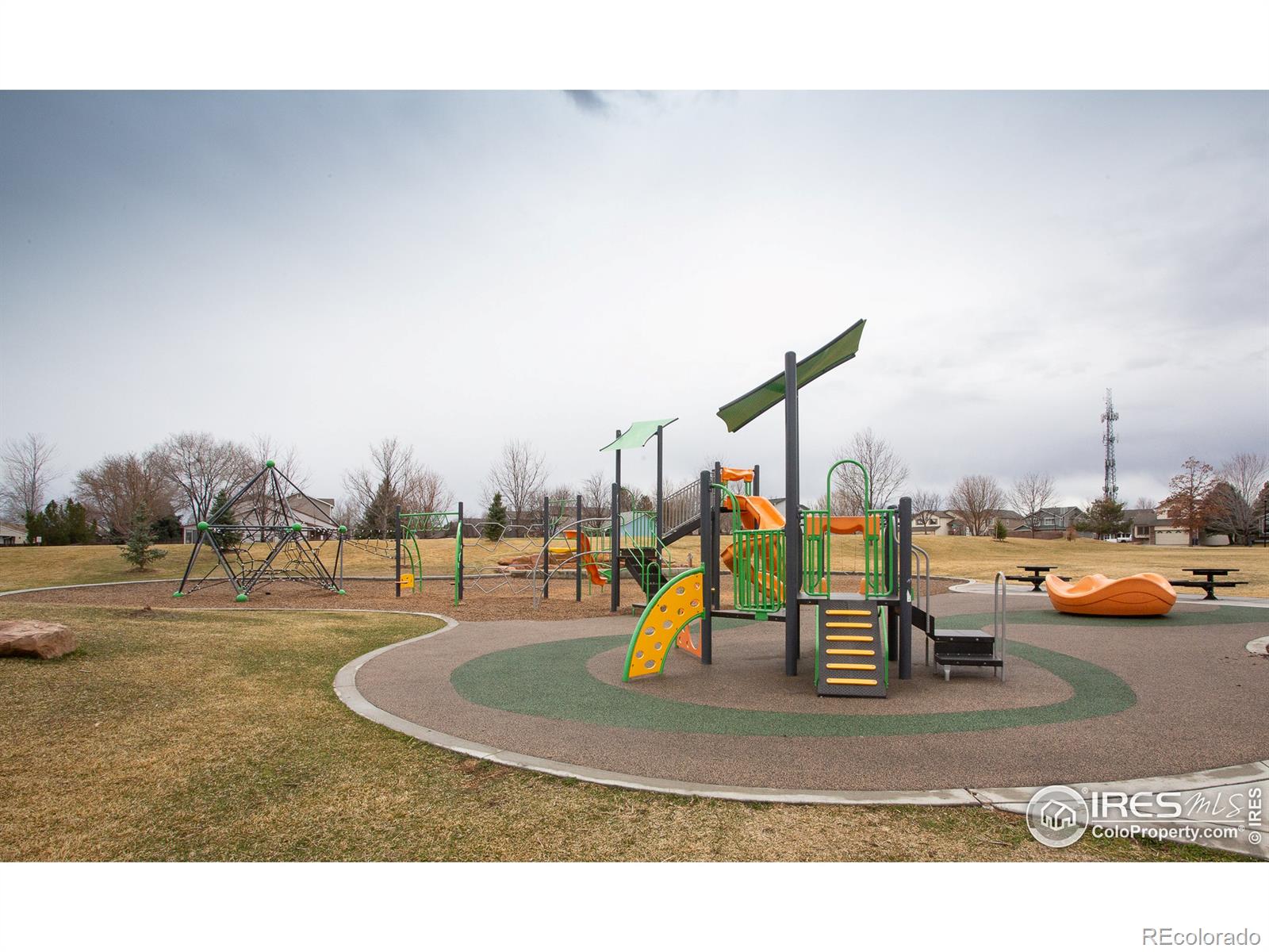 MLS Image #23 for 1913  juniper street,longmont, Colorado