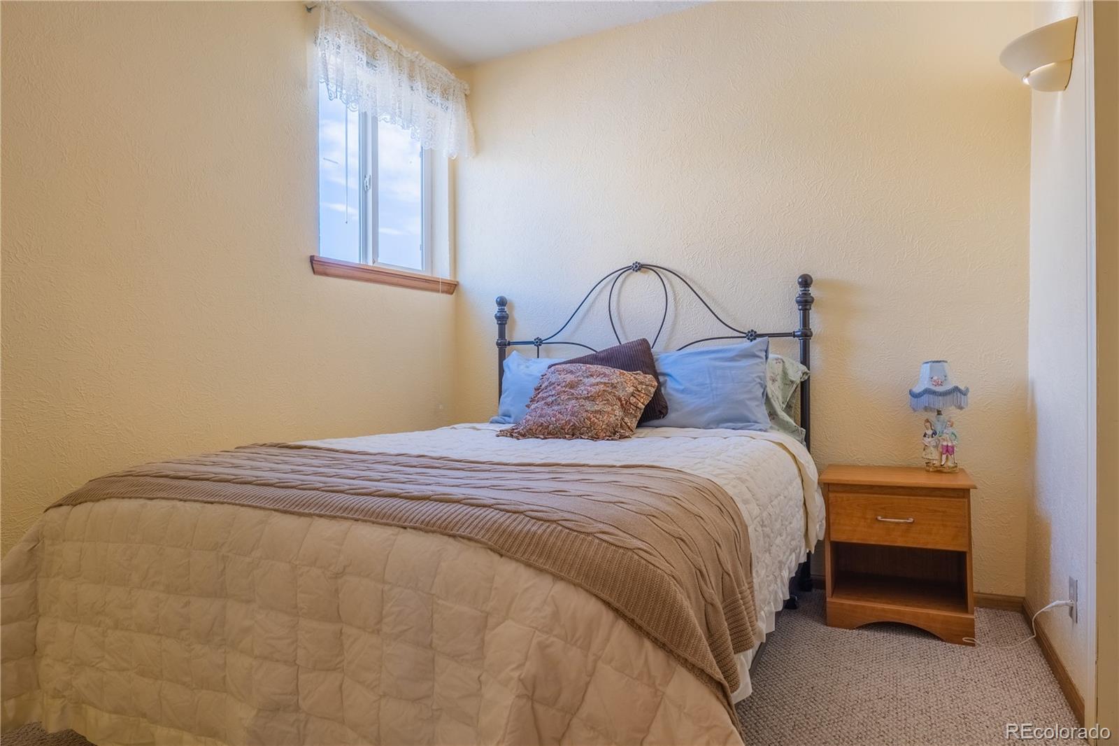 MLS Image #10 for 307 w elm street,leadville, Colorado