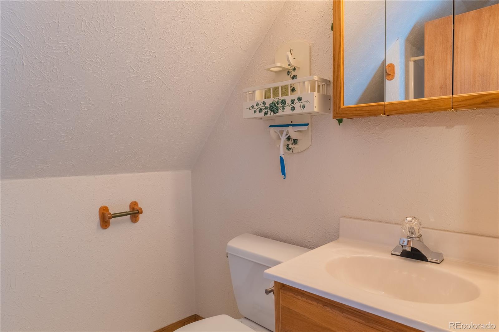 MLS Image #18 for 307 w elm street,leadville, Colorado