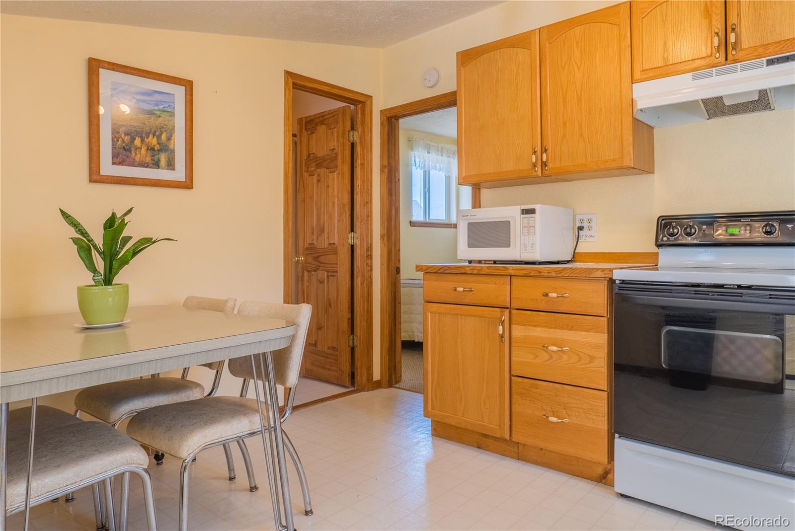 MLS Image #6 for 307 w elm street,leadville, Colorado