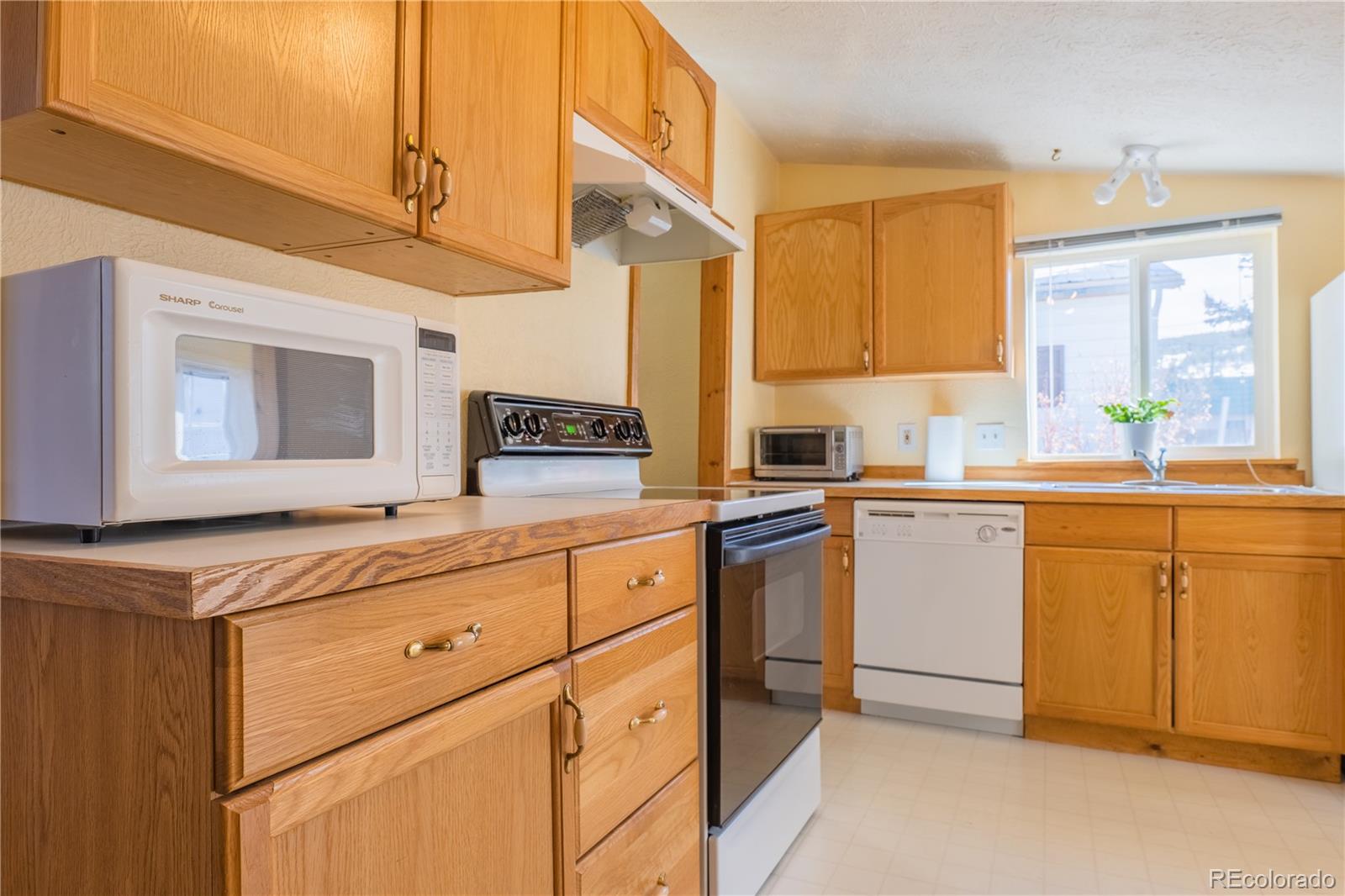 MLS Image #7 for 307 w elm street,leadville, Colorado