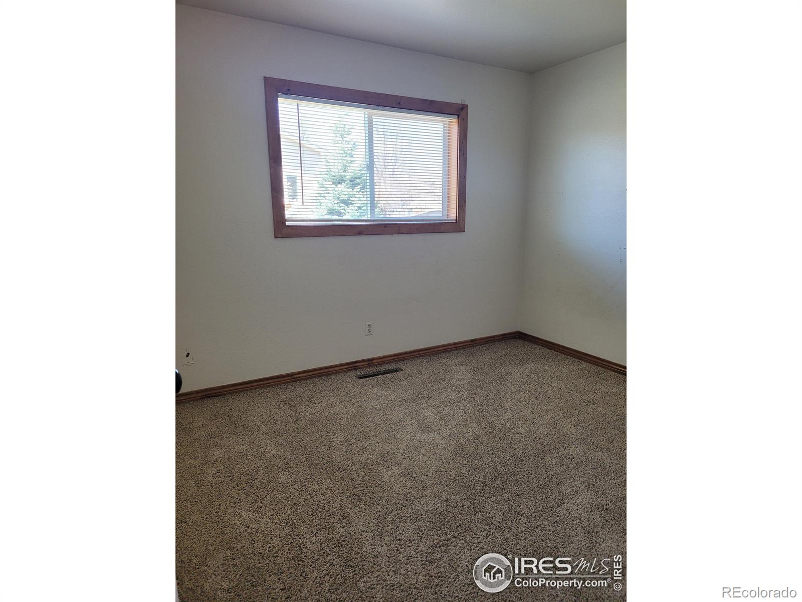 MLS Image #8 for 2319  austin avenue,loveland, Colorado