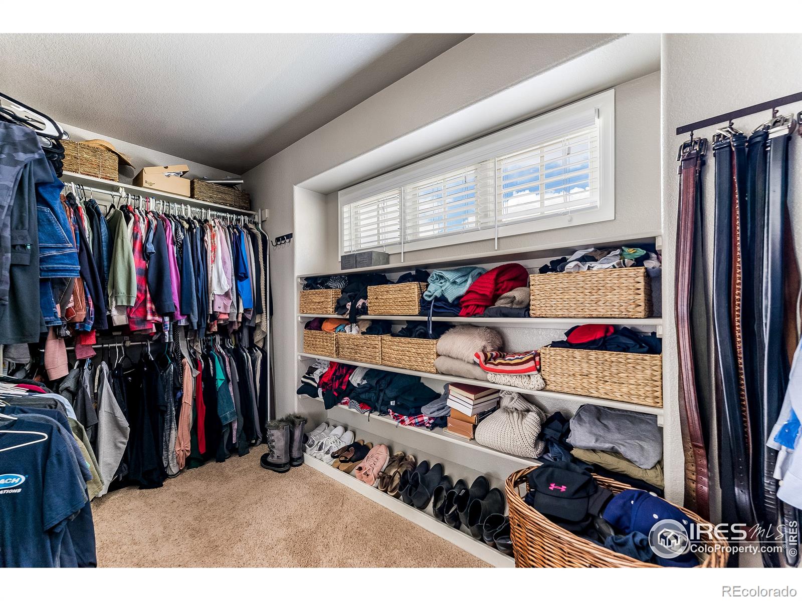 MLS Image #21 for 5538  golden willow drive,fort collins, Colorado