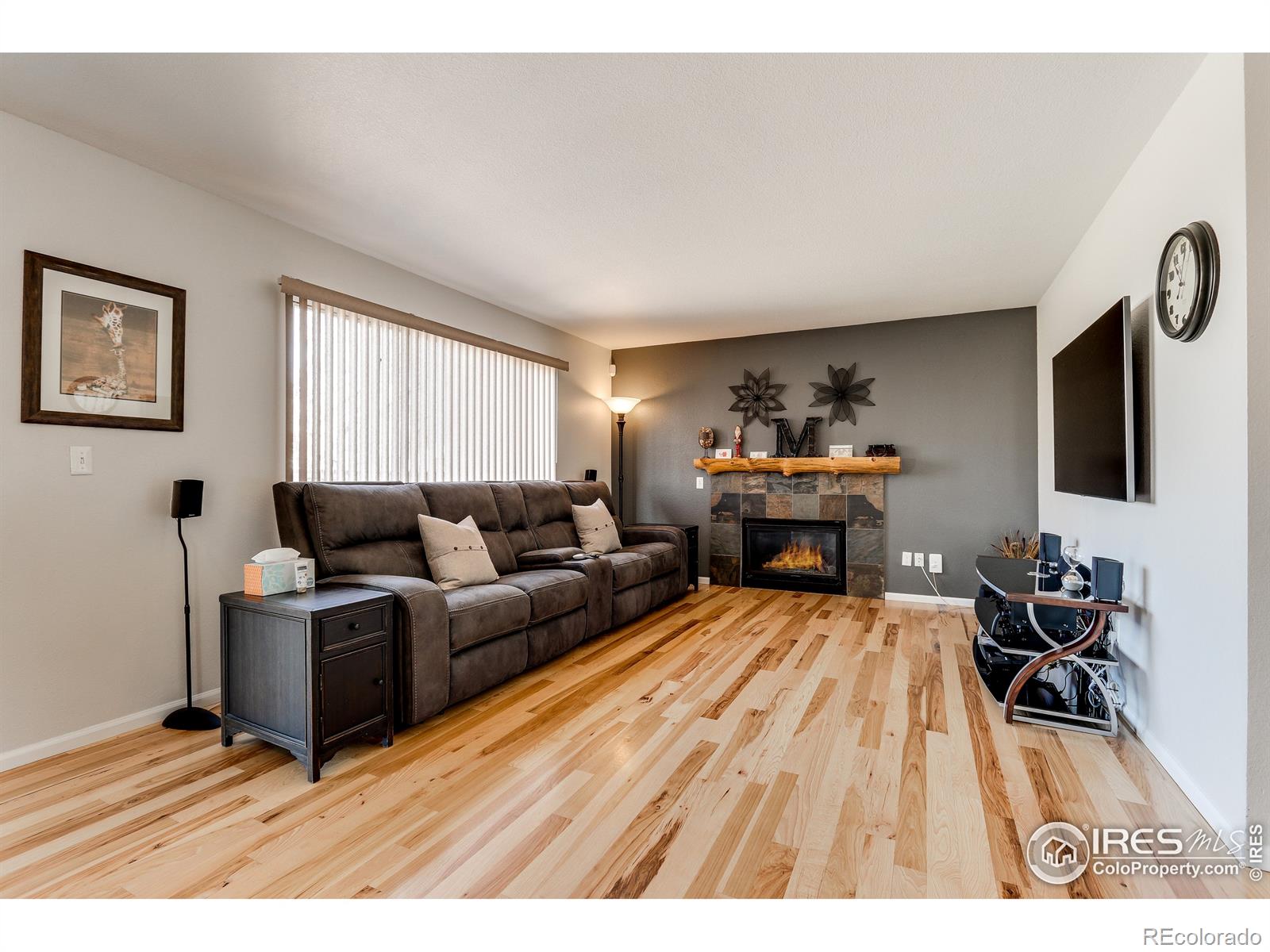 MLS Image #8 for 1418  lincoln circle,longmont, Colorado