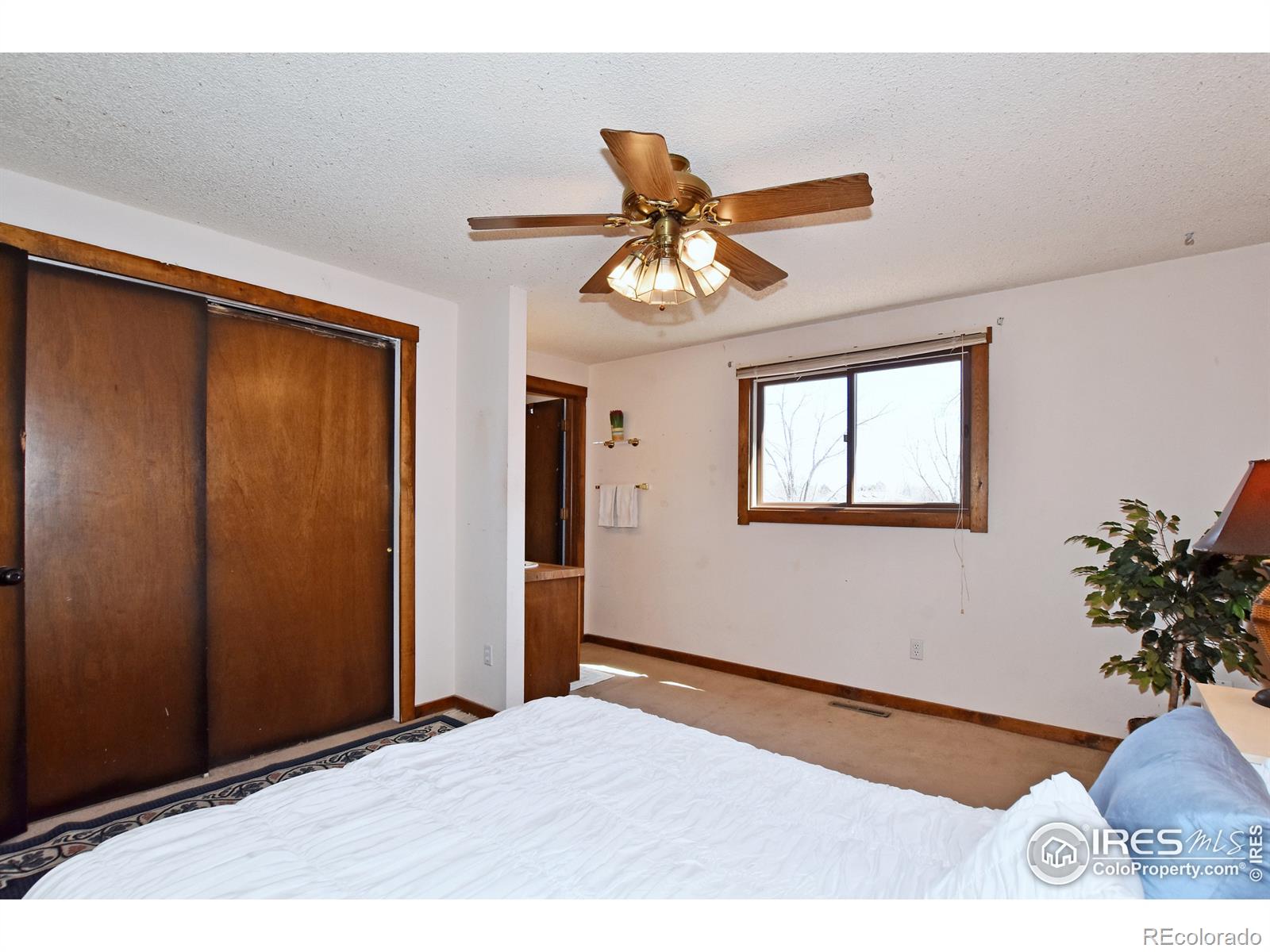 MLS Image #24 for 2228  augusta court,loveland, Colorado