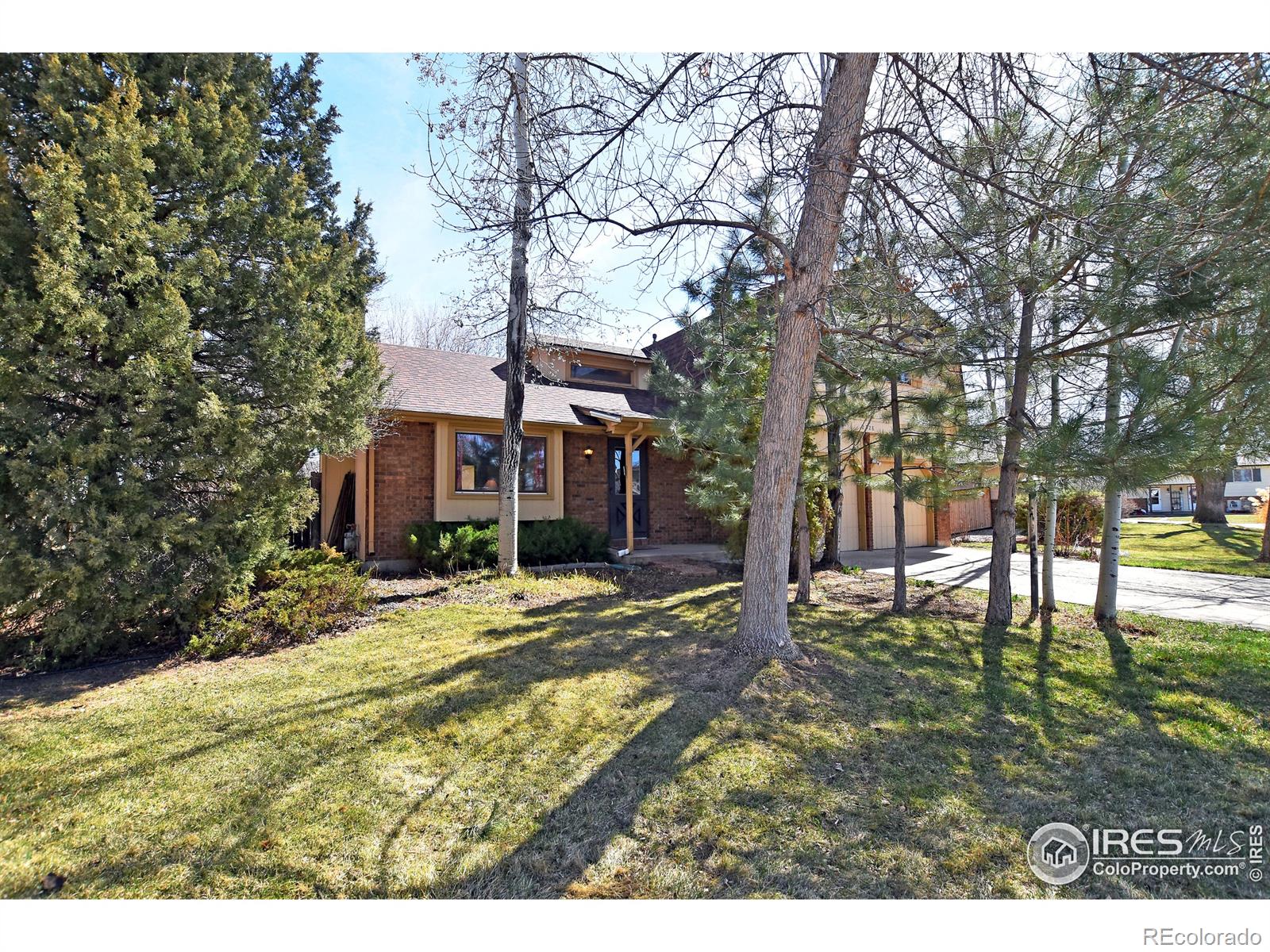 MLS Image #9 for 2228  augusta court,loveland, Colorado