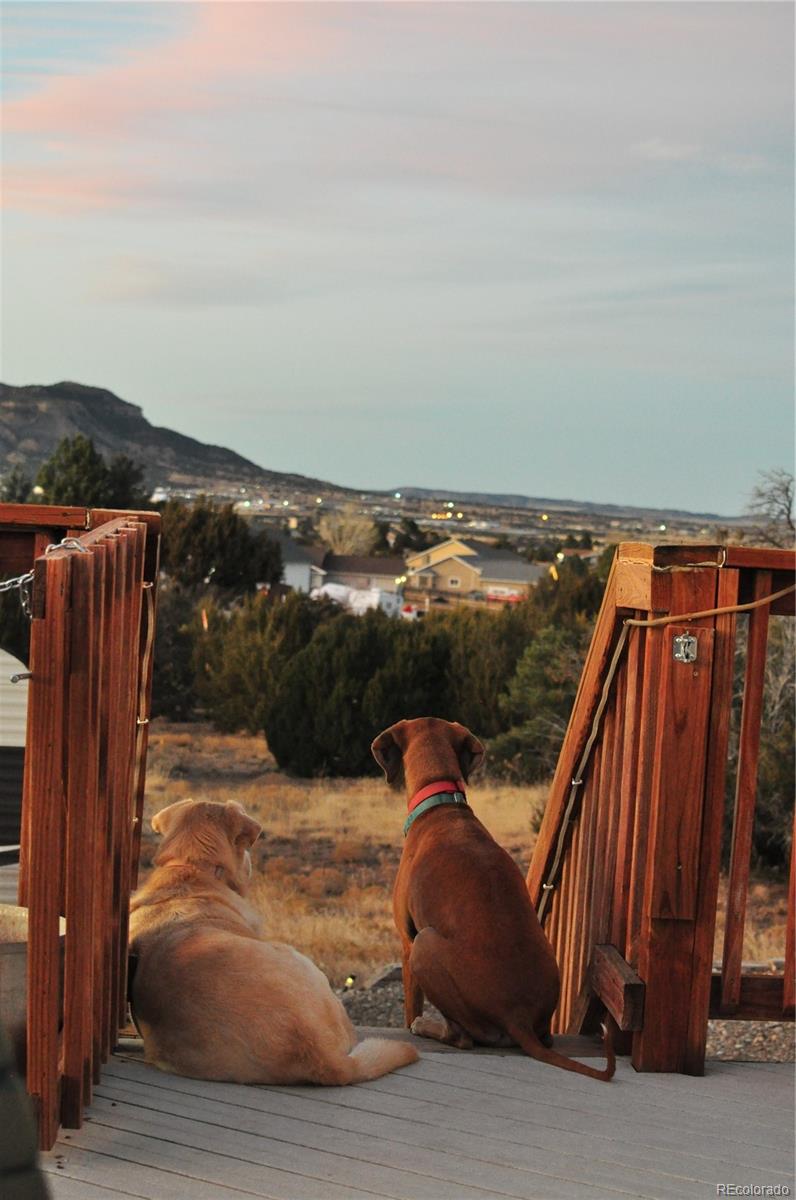 MLS Image #9 for 217  corundum road,trinidad, Colorado