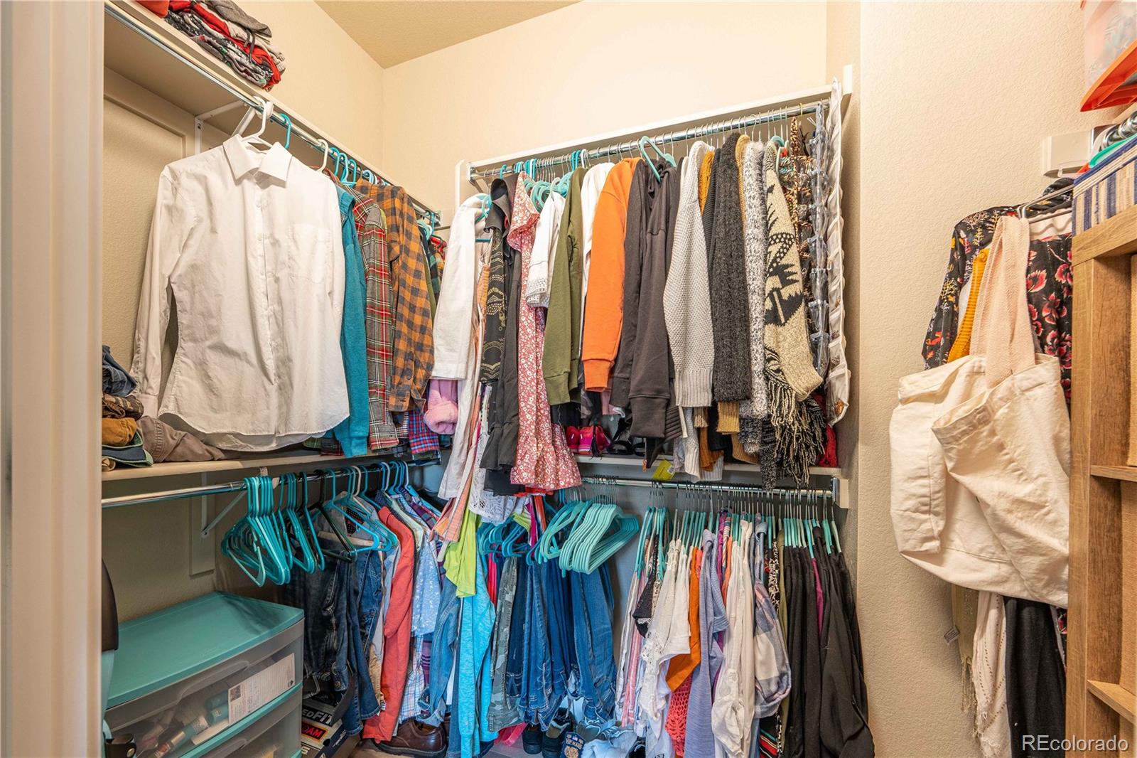 MLS Image #20 for 6556  crystal downs drive,windsor, Colorado