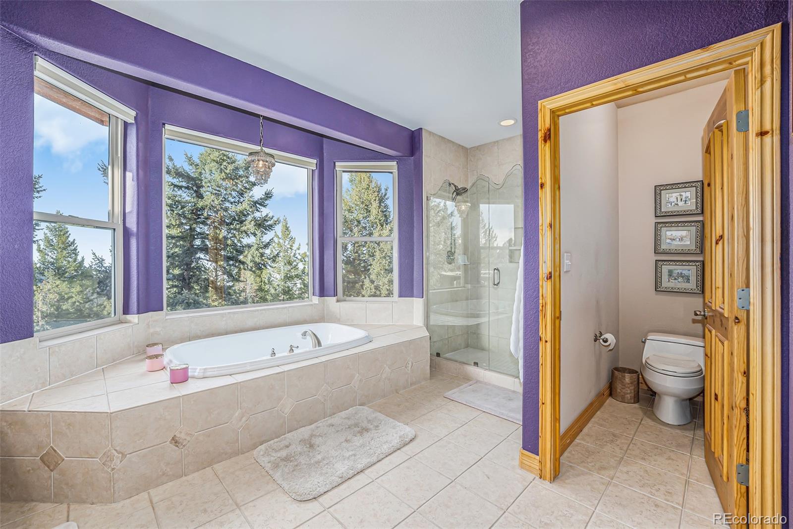 MLS Image #20 for 22545  cook lane,morrison, Colorado