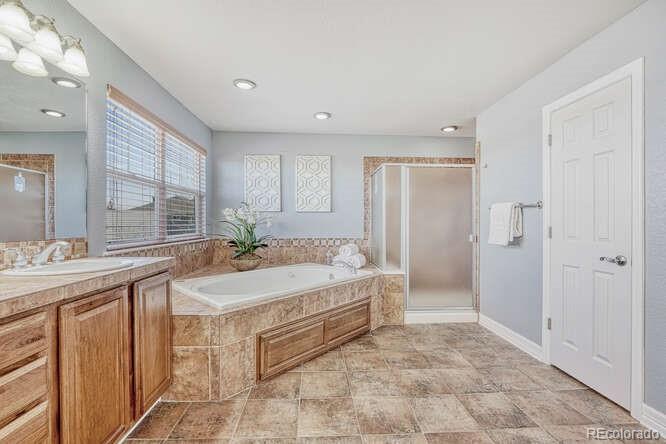 MLS Image #18 for 3899  running deer drive,castle rock, Colorado