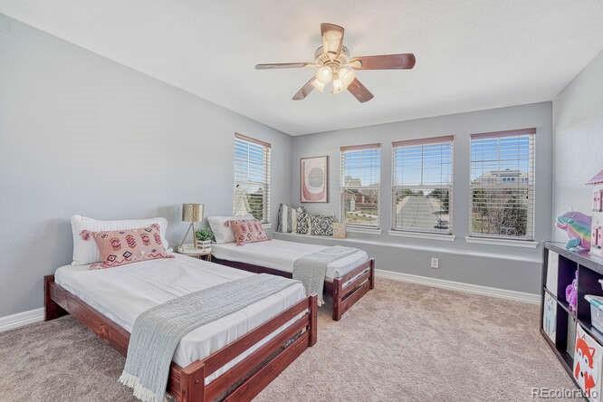 MLS Image #19 for 3899  running deer drive,castle rock, Colorado