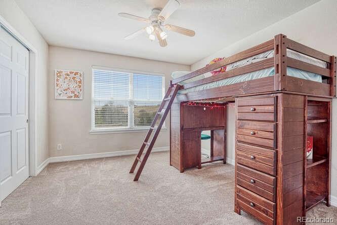 MLS Image #22 for 3899  running deer drive,castle rock, Colorado