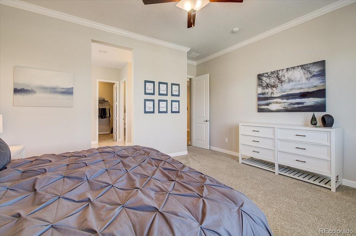 MLS Image #19 for 600  pikes view drive,erie, Colorado