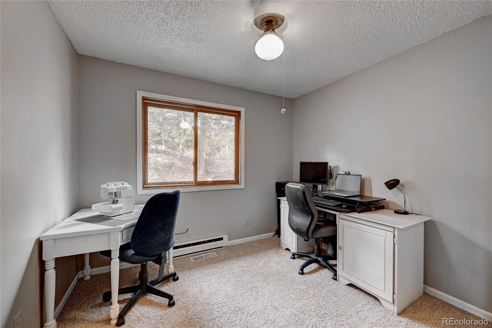 MLS Image #15 for 760  wisp creek drive,bailey, Colorado