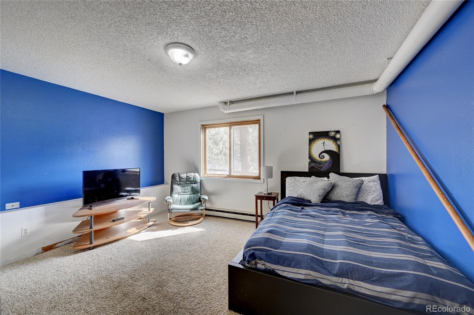 MLS Image #21 for 760  wisp creek drive,bailey, Colorado