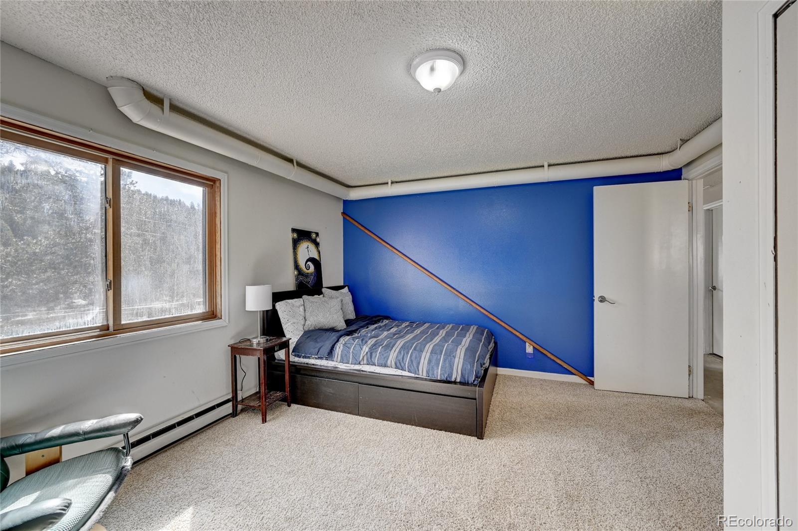 MLS Image #22 for 760  wisp creek drive,bailey, Colorado