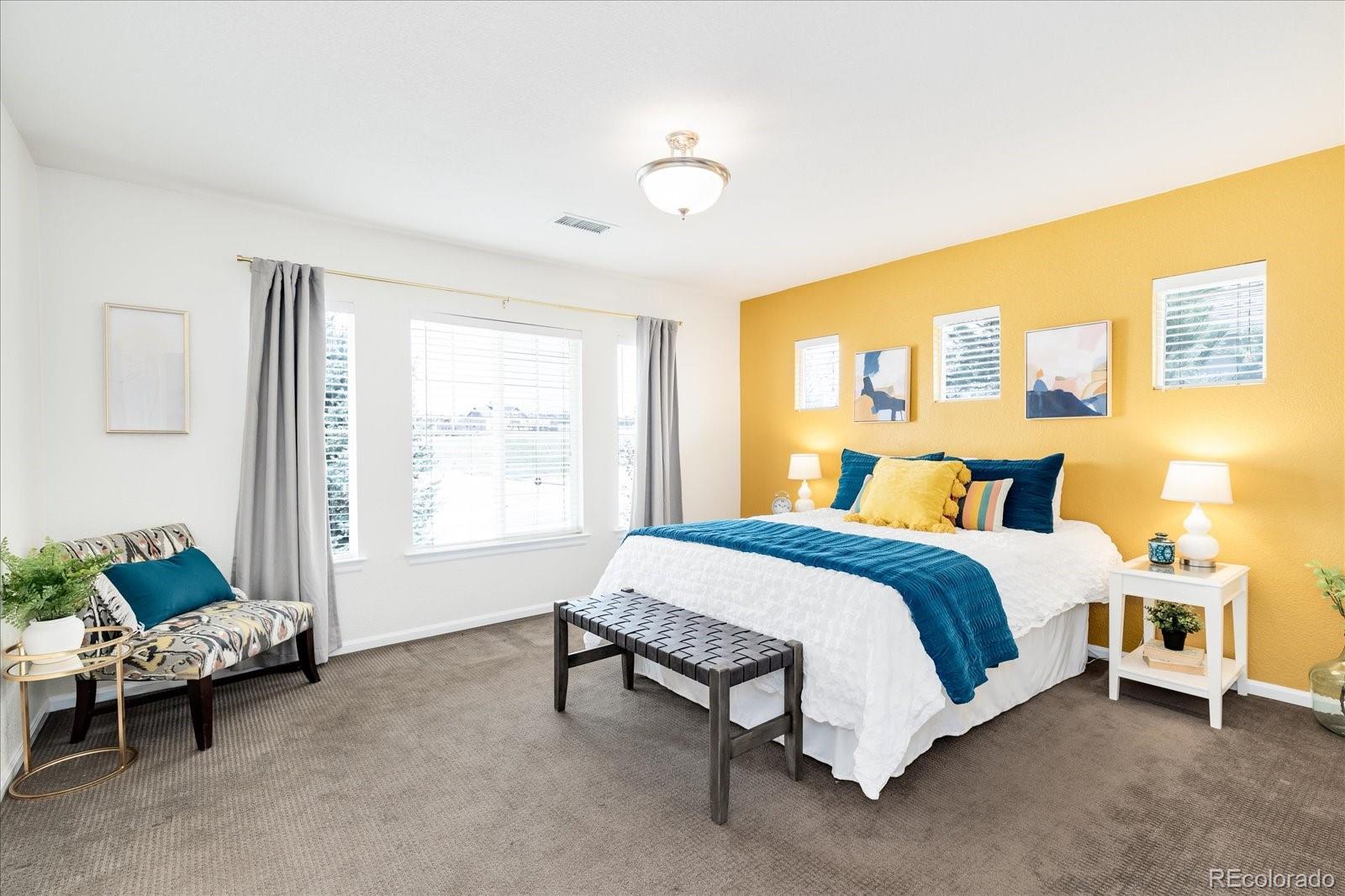 MLS Image #10 for 208  whitehaven circle,highlands ranch, Colorado