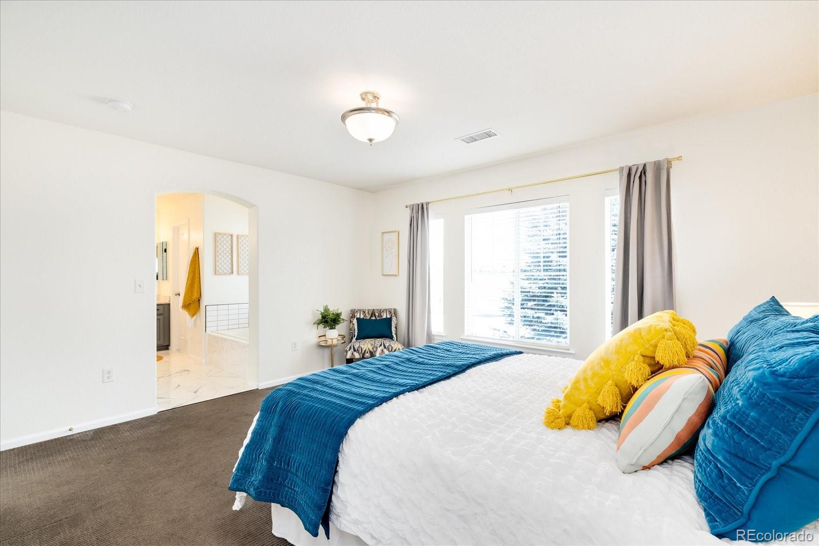 MLS Image #14 for 208  whitehaven circle,highlands ranch, Colorado