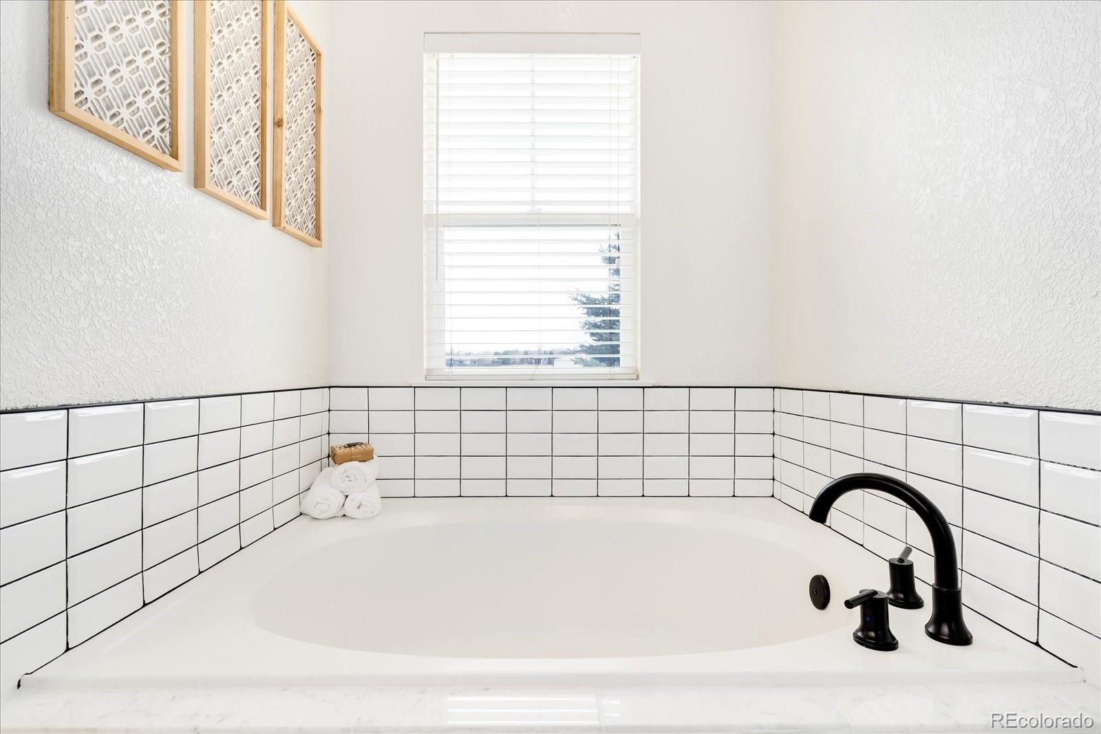 MLS Image #15 for 208  whitehaven circle,highlands ranch, Colorado